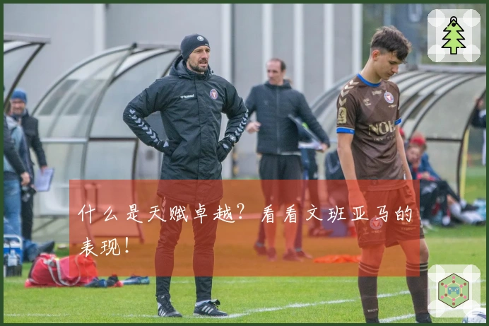 什么是天赋卓越？看看文班亚马的表现！